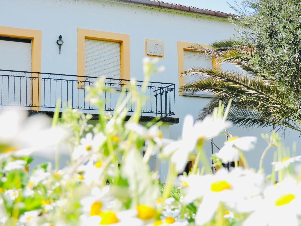 Гостевой дом Nogueira Country House Фундан Экстерьер фото