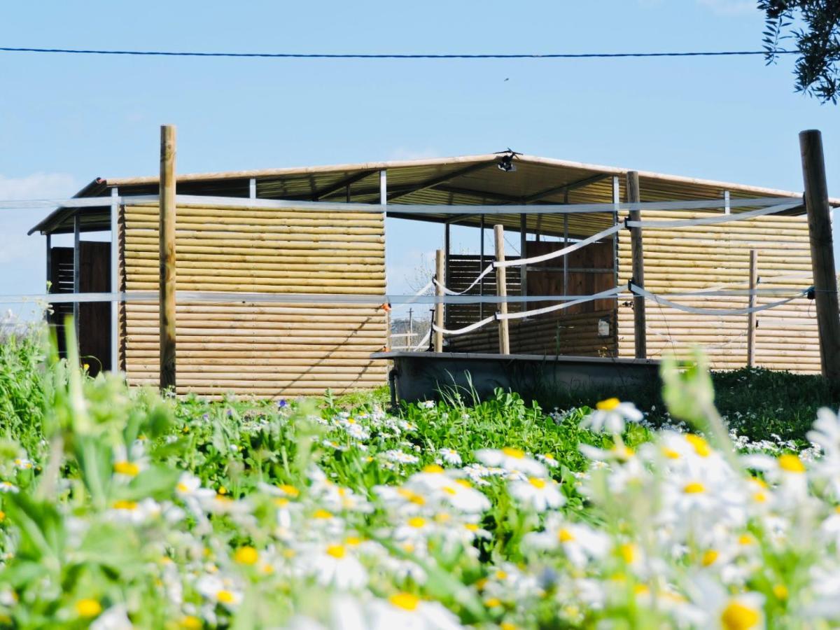 Гостевой дом Nogueira Country House Фундан Экстерьер фото